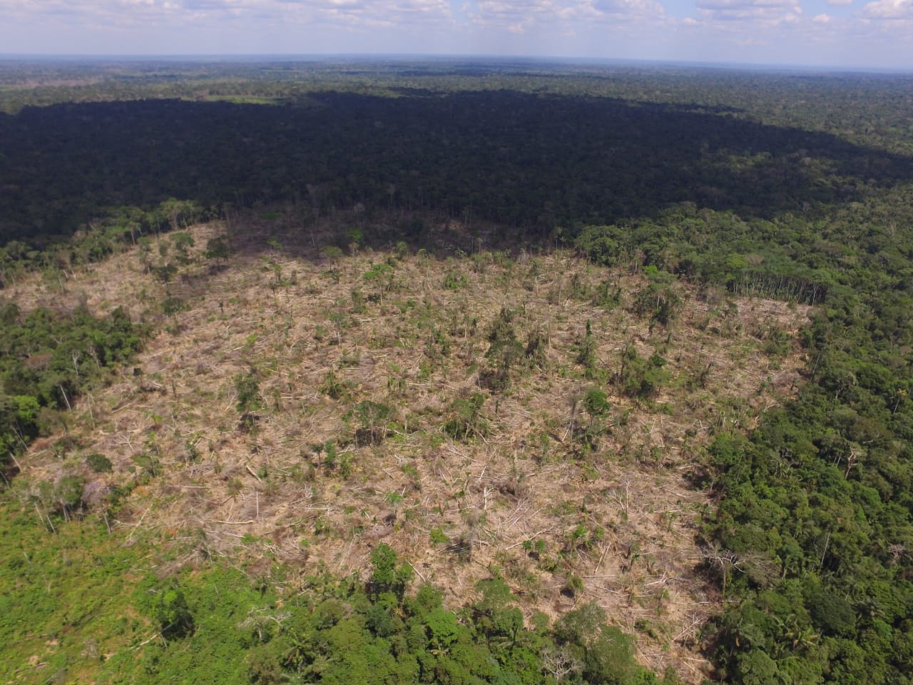 Imagen aérea de deforestación en San José del Guaviare, capital del departamento. Fuente: Corporación para el Desarrollo Sostenible del Norte y el Oriente Amazónico (CDA)