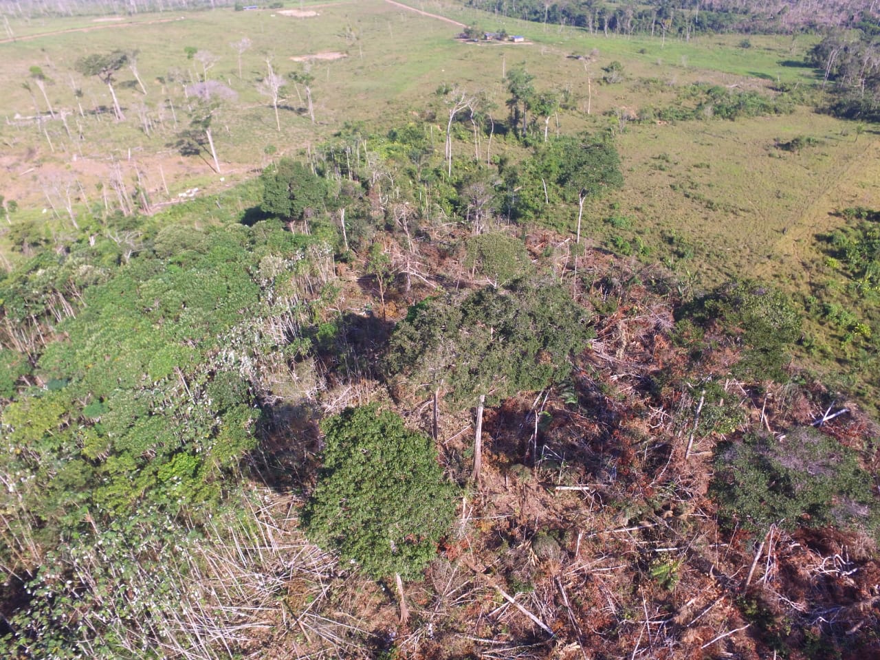 Deforestación en San José del Guaviare, capital del departamento. Fuente: Corporación para el Desarrollo Sostenible del Norte y el Oriente Amazónico (CDA)