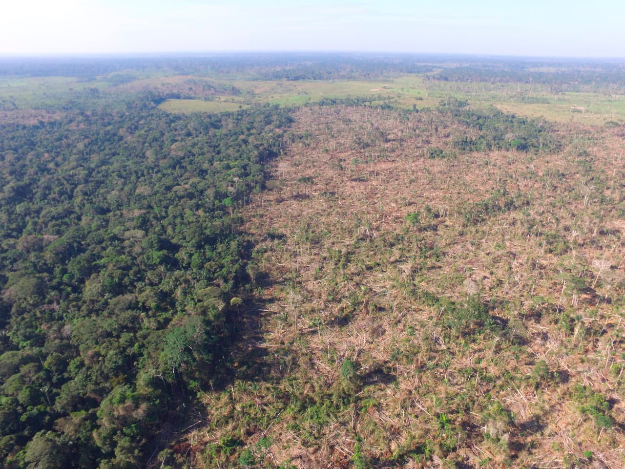 Deforestación en San José del Guaviare, capital del departamento. Fuente: Corporación para el Desarrollo Sostenible del Norte y el Oriente Amazónico (CDA)
