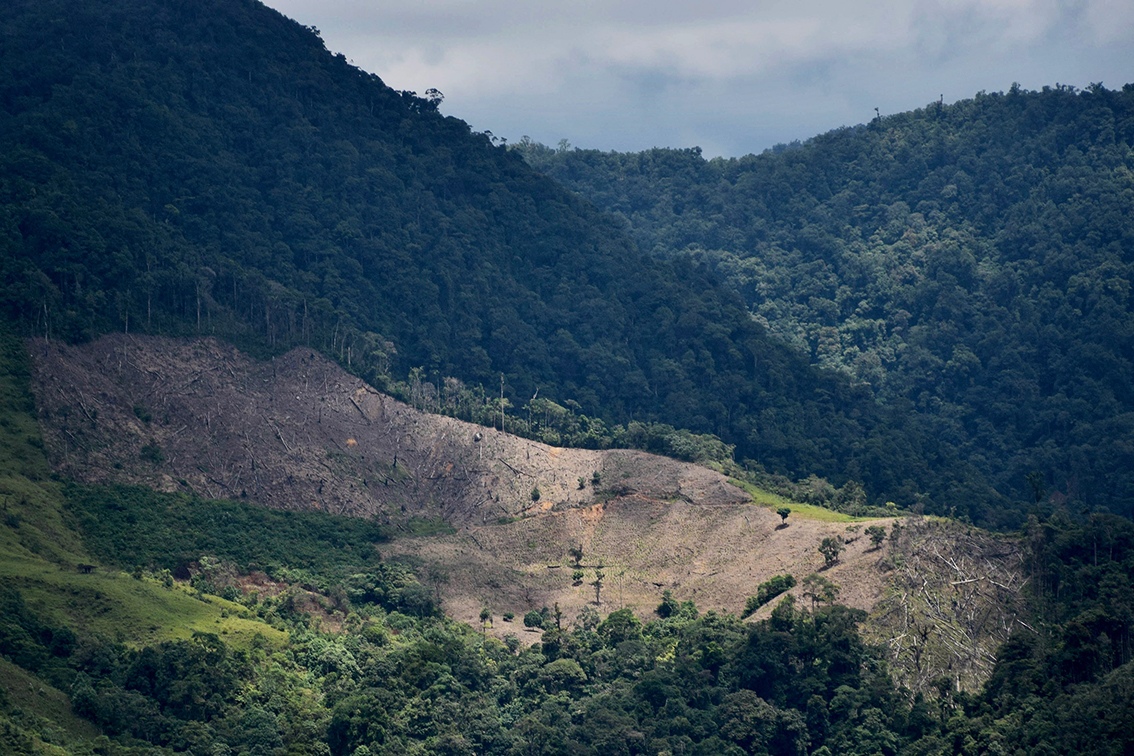 Zona deforestada en San Vicente del Caguán. Foto Lis Möller @lissmoller