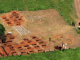 campo-exhumaciones.jpg