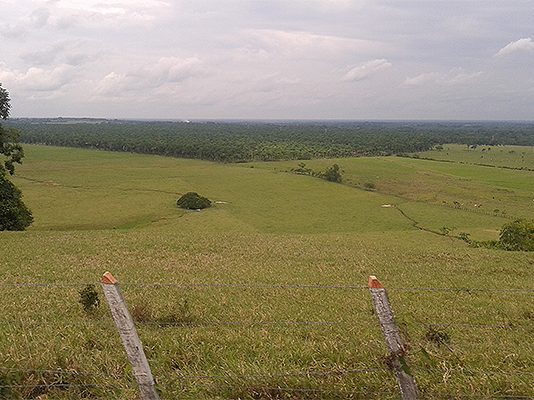 desde-tierras-casanare-empresa.jpg