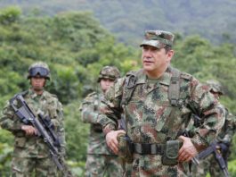 entrevista-ffmm-1.jpg