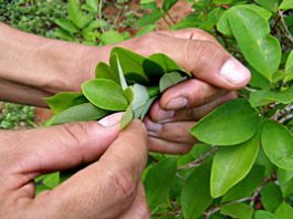 especial-baudo-3.jpg