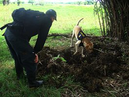 fosa-exhumada-300.jpg