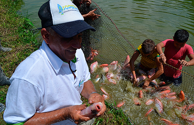 Campesinos de El Tarra echan la red para pescar la legalidad