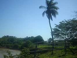 tierrasllanos1_300200.jpg
