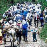 apertura-desplazados