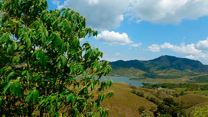 Bolívar, Valle del Cauca.