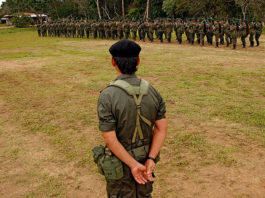 Informe de la Fundación Ideas para la Paz sobre disidencias de las Farc.
