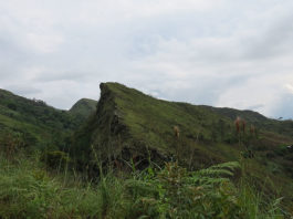 Resistencia de comunidades de Cauca a la violencia