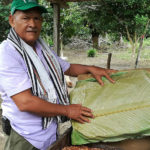 el-garzal-cacao-1