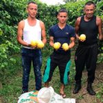 reincorporacion-farc-1