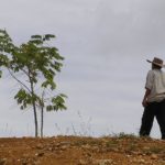 apertura-platanal-2