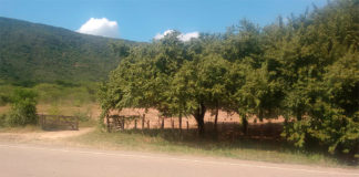 Hacienda Las Nubes, Diomedes Díaz
