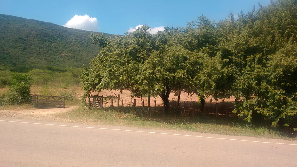 Hacienda Las Nubes, Diomedes Díaz