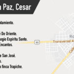 pp25-grafico1