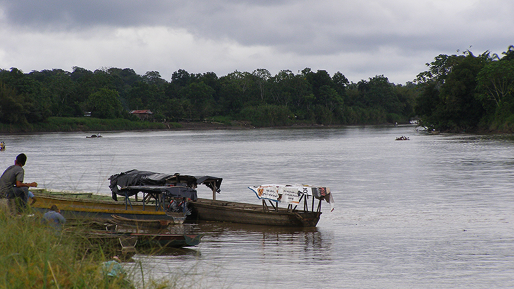 En Chocó, acuerdos de sustitución voluntaria de hoja de coca están en ceros