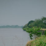tantas-almas-1