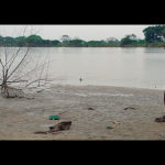 tantas-almas-4