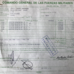 armas-convivir-3