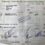 armas-convivir-4