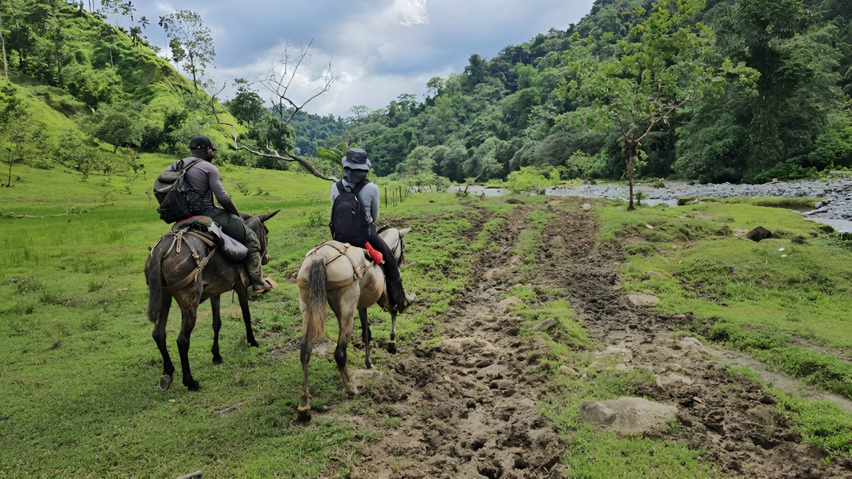 Foto: Unidad de Restitución de Tierras (URT).