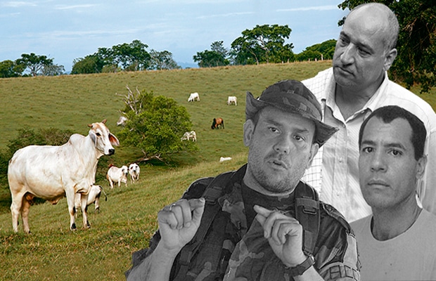 0-los-castano-y-finca