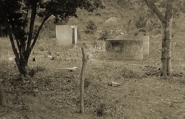 0-ys-hato-nuevo-2015.jpg