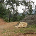 Café de Ortega, el Café de la Reconciliación