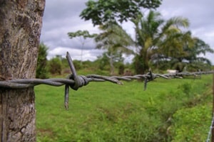 Niegan restitución a reclamantes de tierras de Guacamayas