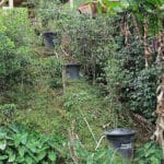 Café de Ortega, el Café de la Reconciliación