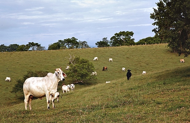 Foto Cordoba dos.jpg