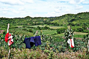 La Europa y su misterioso comprador