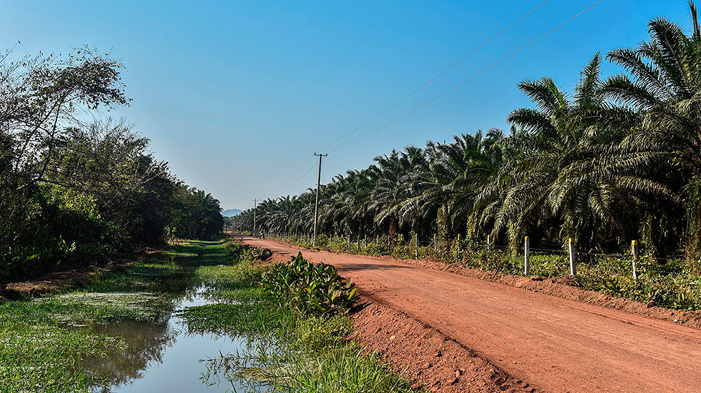 Perfil de Carlos Murgas
