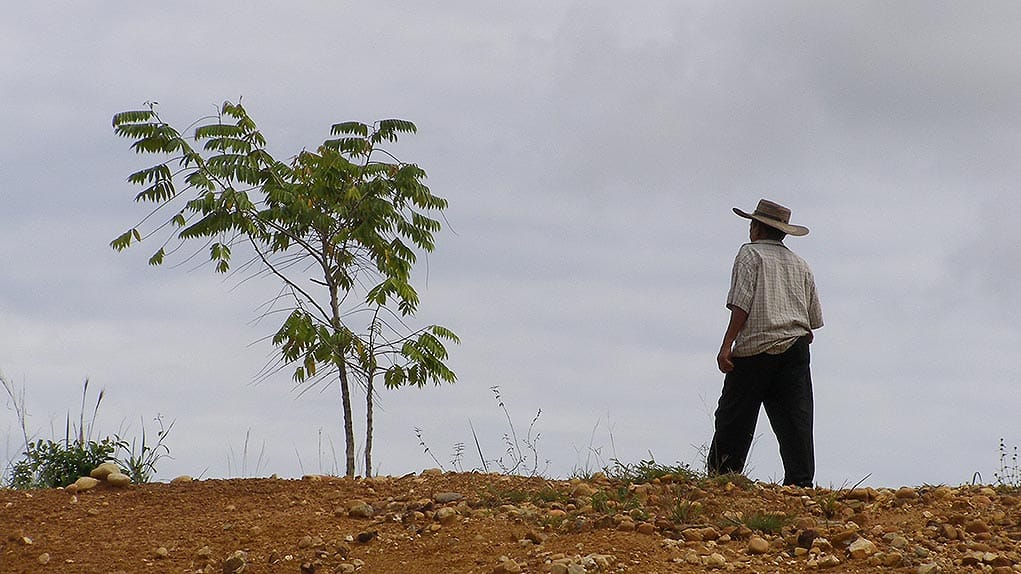 Restitución de tierras en Bella Palmira