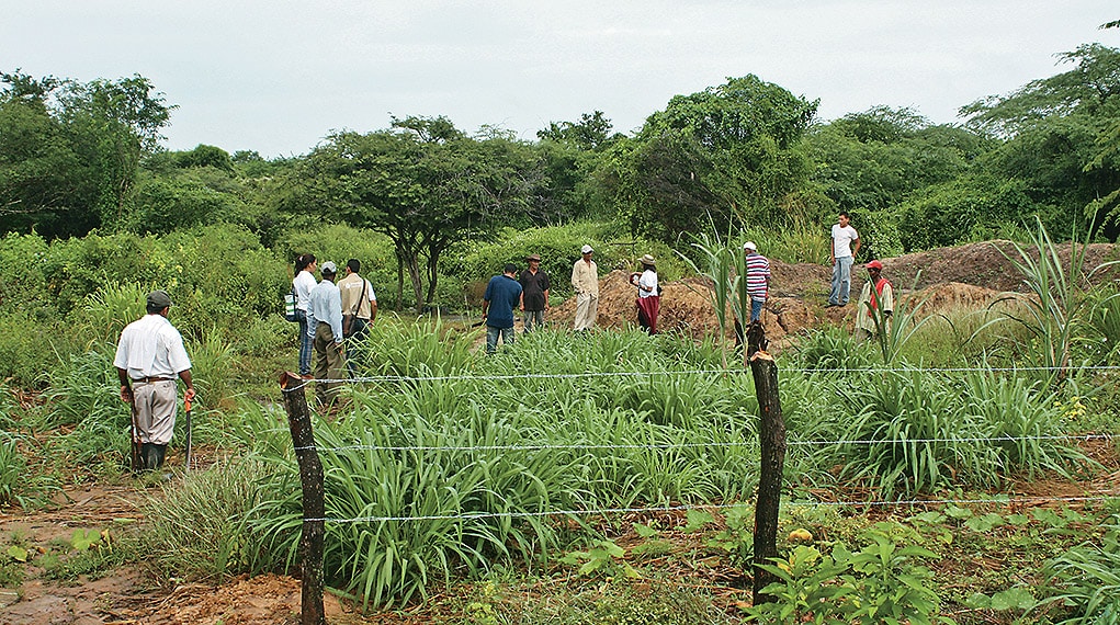 ¿El gobierno nacional le pone otro ‘freno’ a la Reforma Rural Integral?