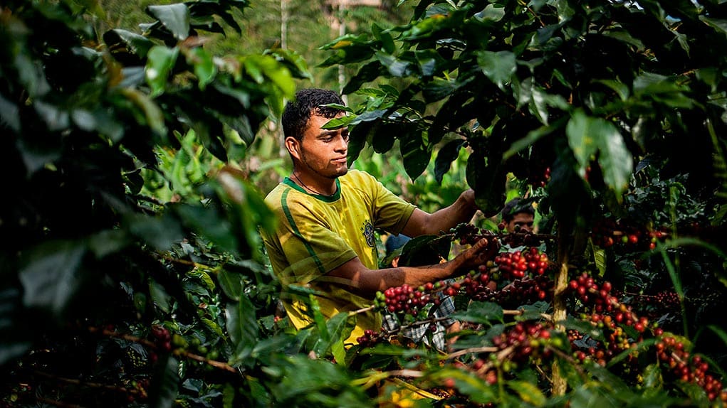 Derechos humanos en el posconflicto colombiano
