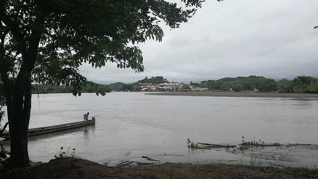Resistencia y cacao en El Garzal