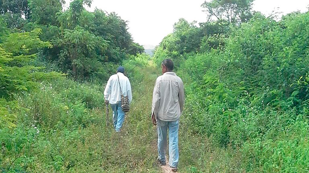 Restitución de El Topacio