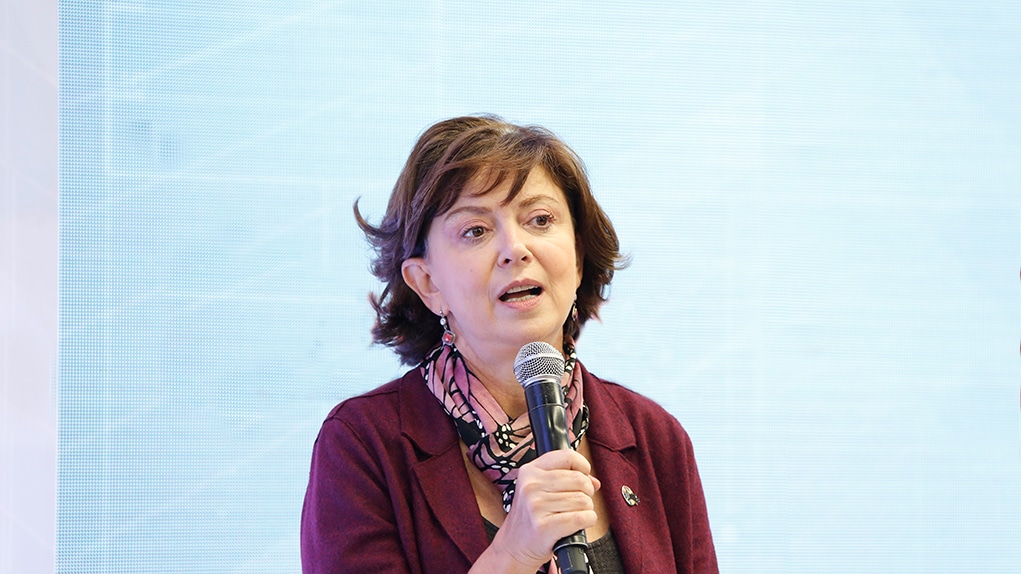 Entrevista Ana Güezmes