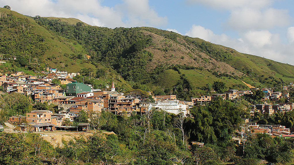 Sustituciòn de cultivos de coca en Birceño, Antioquia.