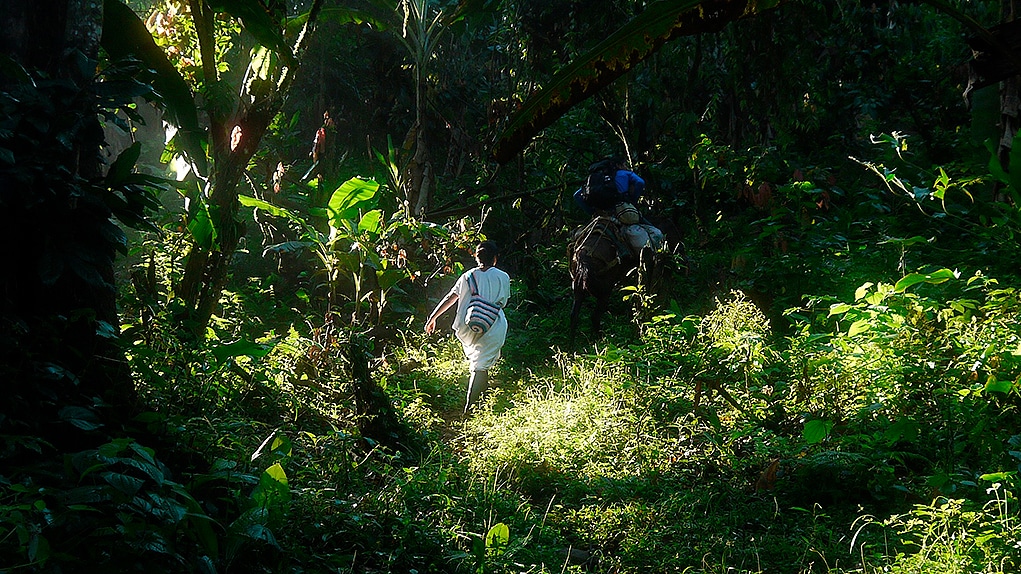 Recuerdos de sitios donde la guerra dejó su huella