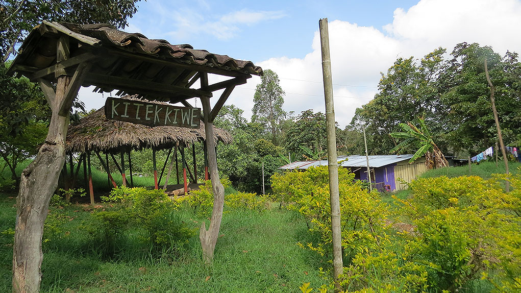 Resguardo de Kitek Kiwe