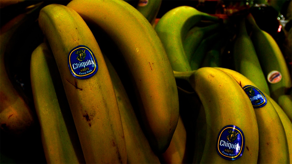 Así actuaron los 13 de Chiquita acusados de crímenes de lesa humanidad en Colombia