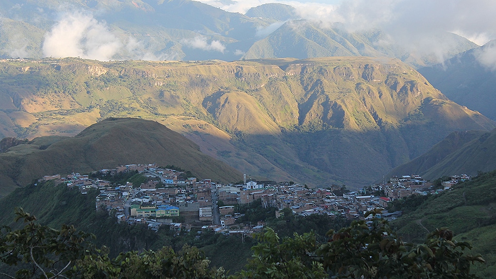 Policarpa está perdiendo su apuesta por la paz