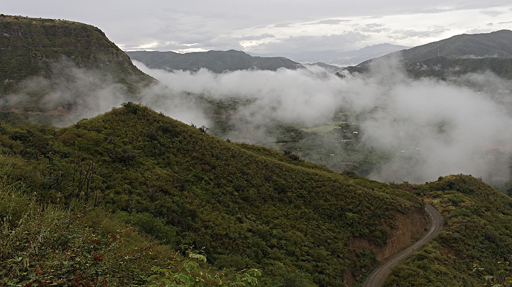 En Policarpa están a la espera de las obras con recursos PDET