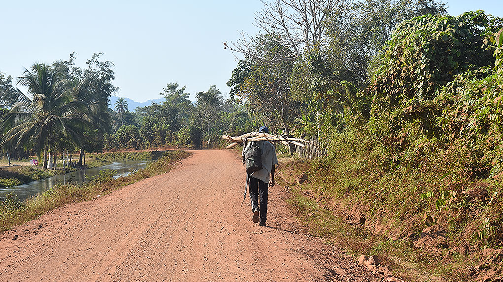 Proyecto de Ley 003 de 2018