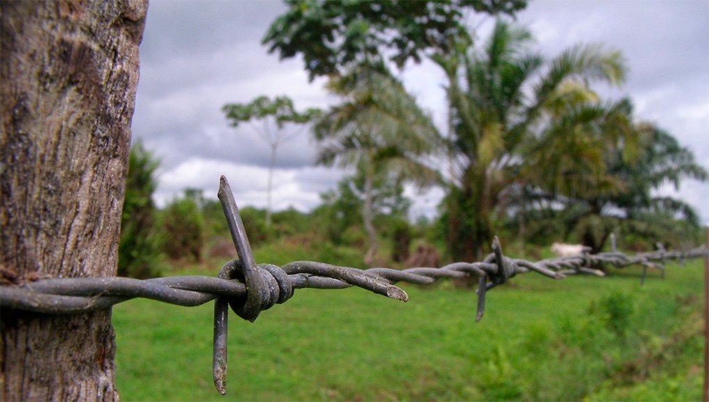 La ANT despojó a dueña de finca y por corregir error tiene a campesinos en riesgo de desalojo