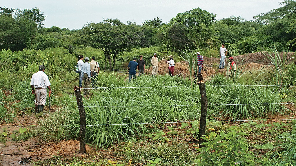 Reclamantes de tierras de Salaminita exigen celeridad